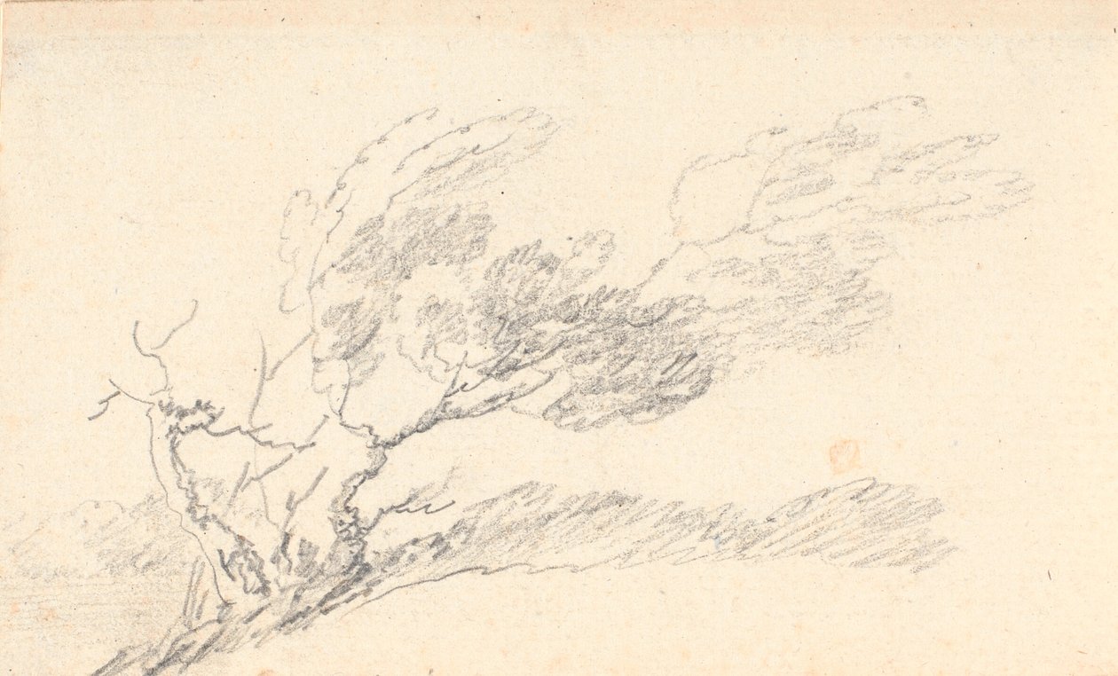 Estudio de árbol en el viento de Jens Juel