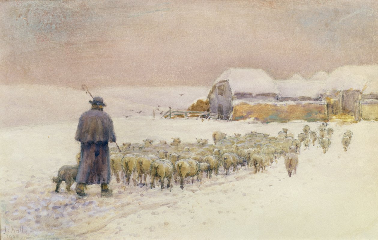 Trayendo el rebaño, 1901 de Jessie Hall