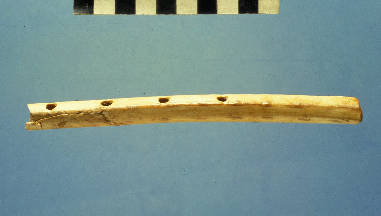 Flauta, Ciudad de David, c.799-600 a.C. de Jewish School
