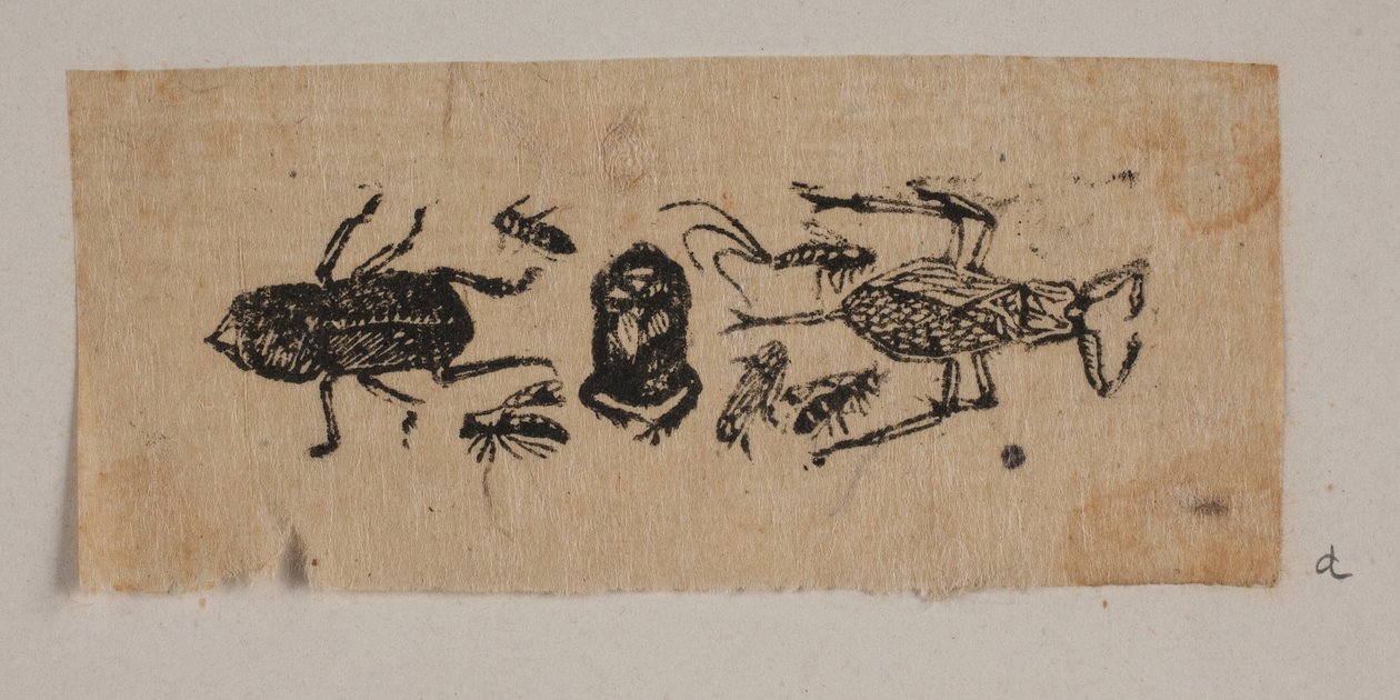 Insecto de Joakim Frederik Skovgaard