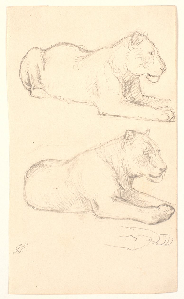 Dos estudios de leonas acostadas de Joakim Frederik Skovgaard