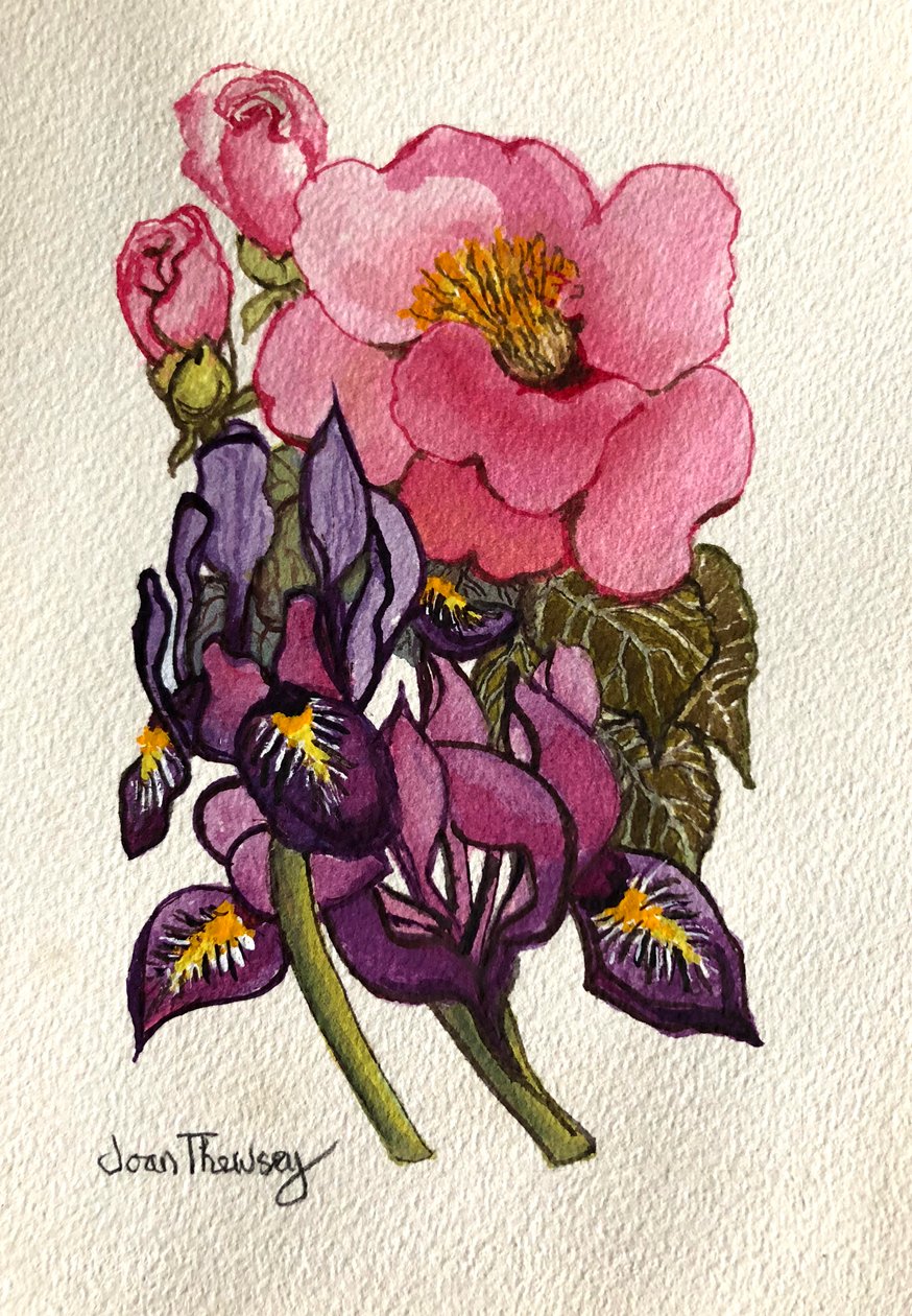 Camelia e iris holandés de Joan Thewsey