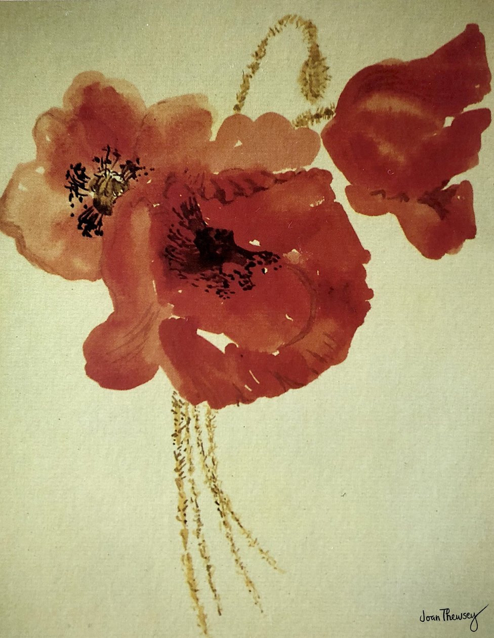 Amapolas del campo de maíz de Joan Thewsey