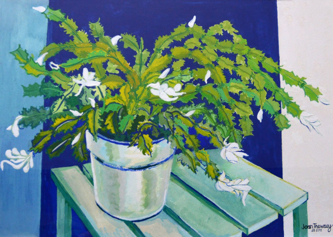 Cactus de Navidad de Joan Thewsey