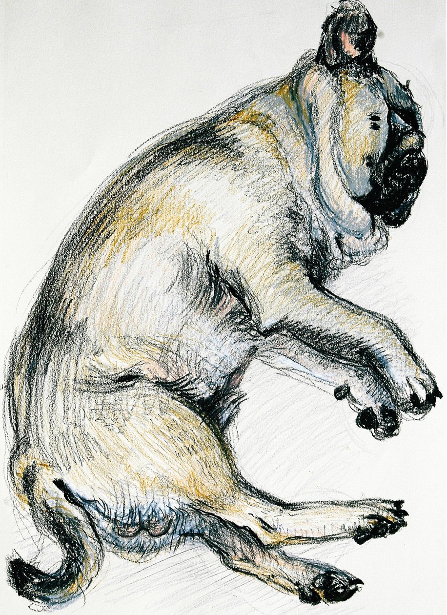 Pug durmiendo uno de Joan Thewsey