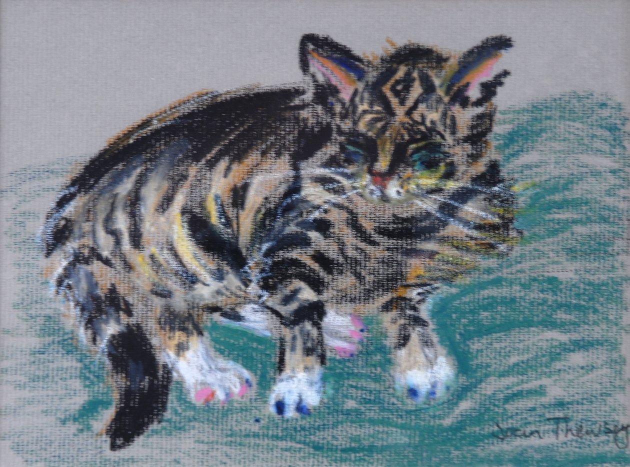 Gato atigrado, 2005 de Joan Thewsey