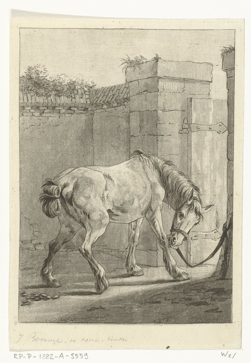Un caballo atado a un poste de Joannes Bemme