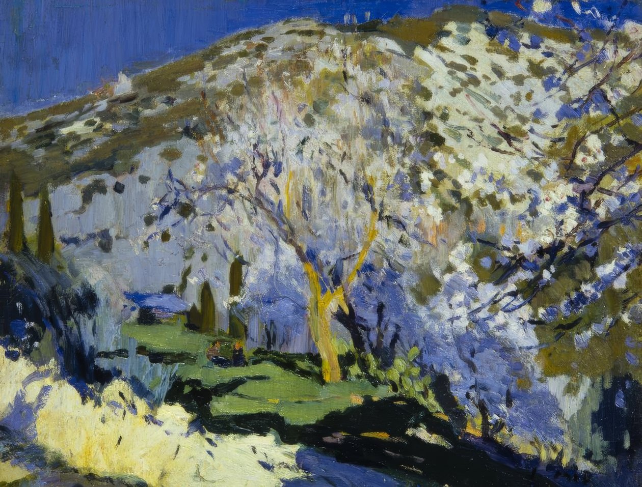 Paisaje de Joaquim Mir i Trinxet