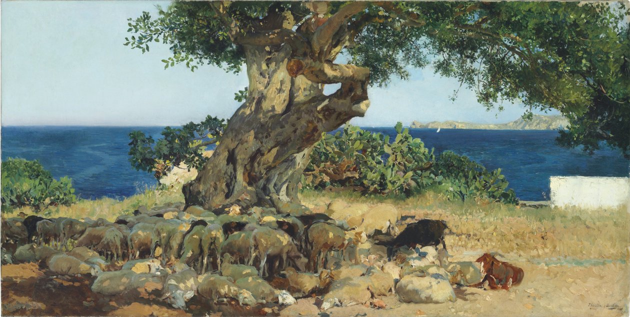 Árbol de algarrobo de Joaquín Sorolla