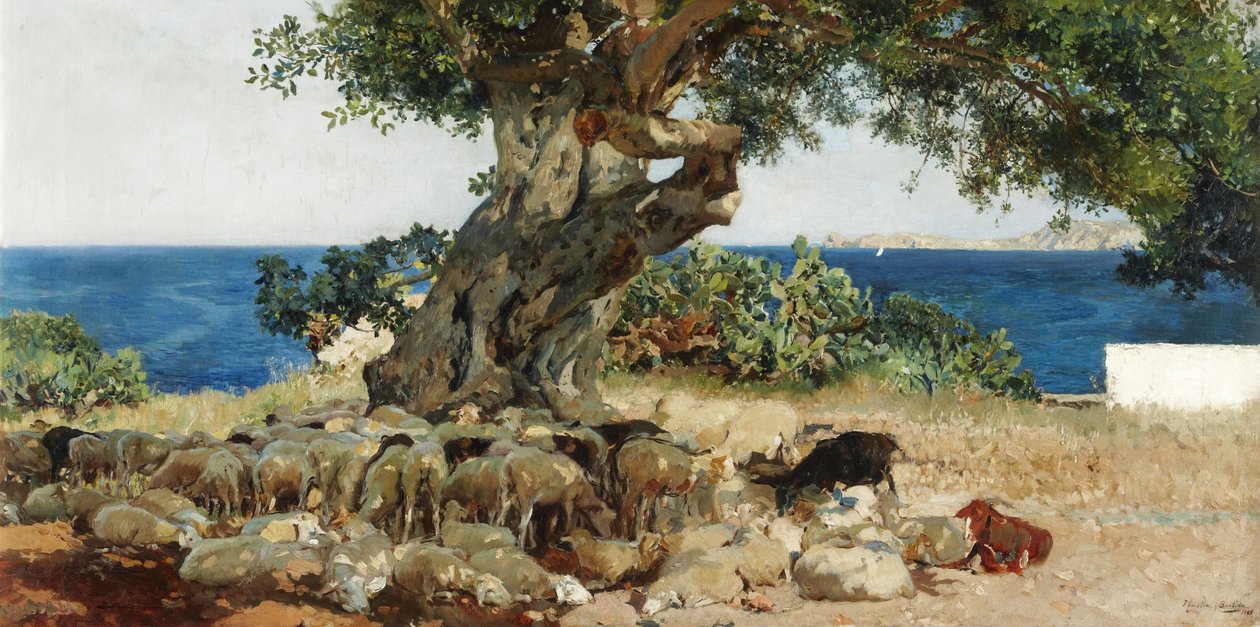 Algarrobo de Joaquín Sorolla