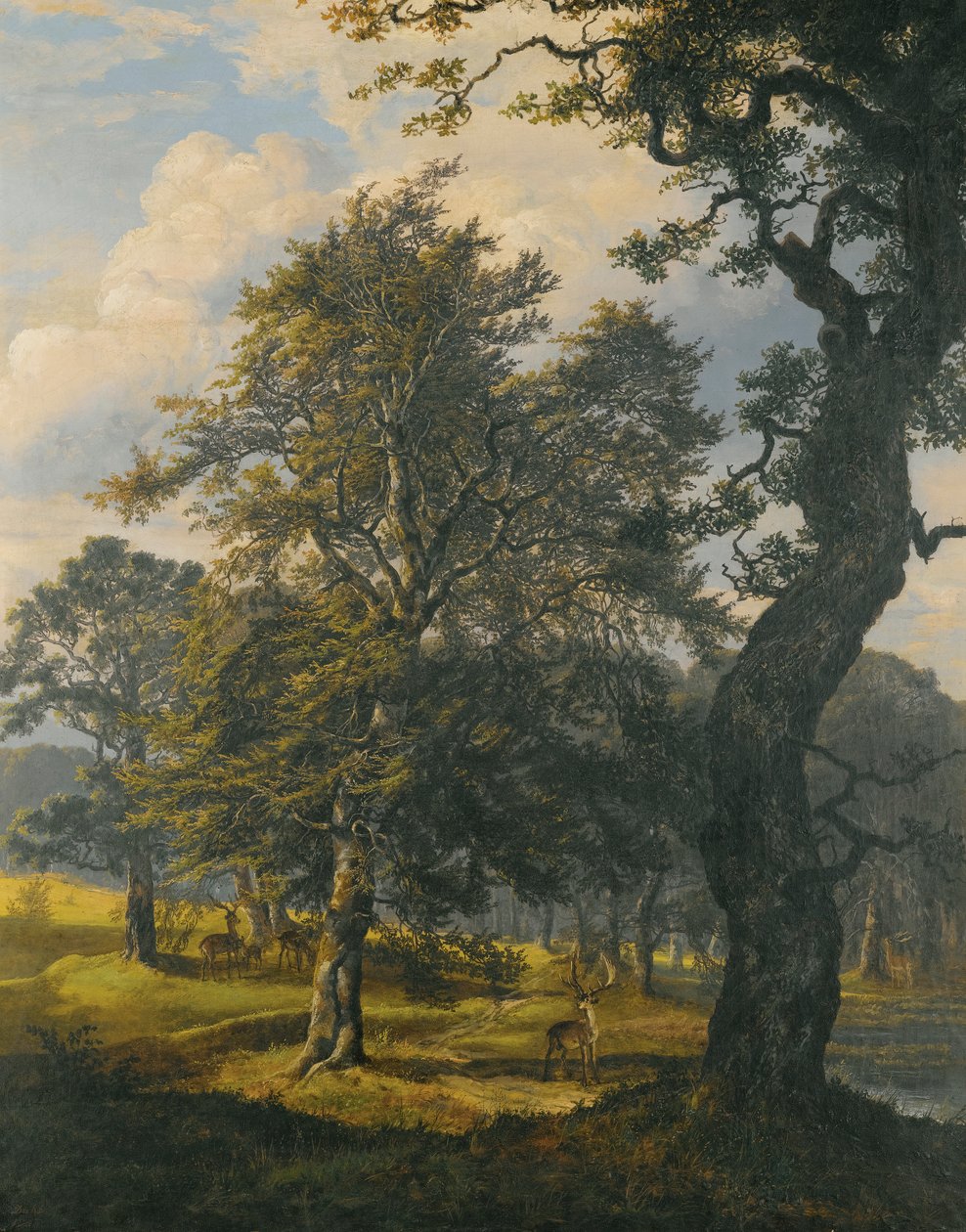 Dyrehaven, cerca de Copenhague de Johan Christian Dahl
