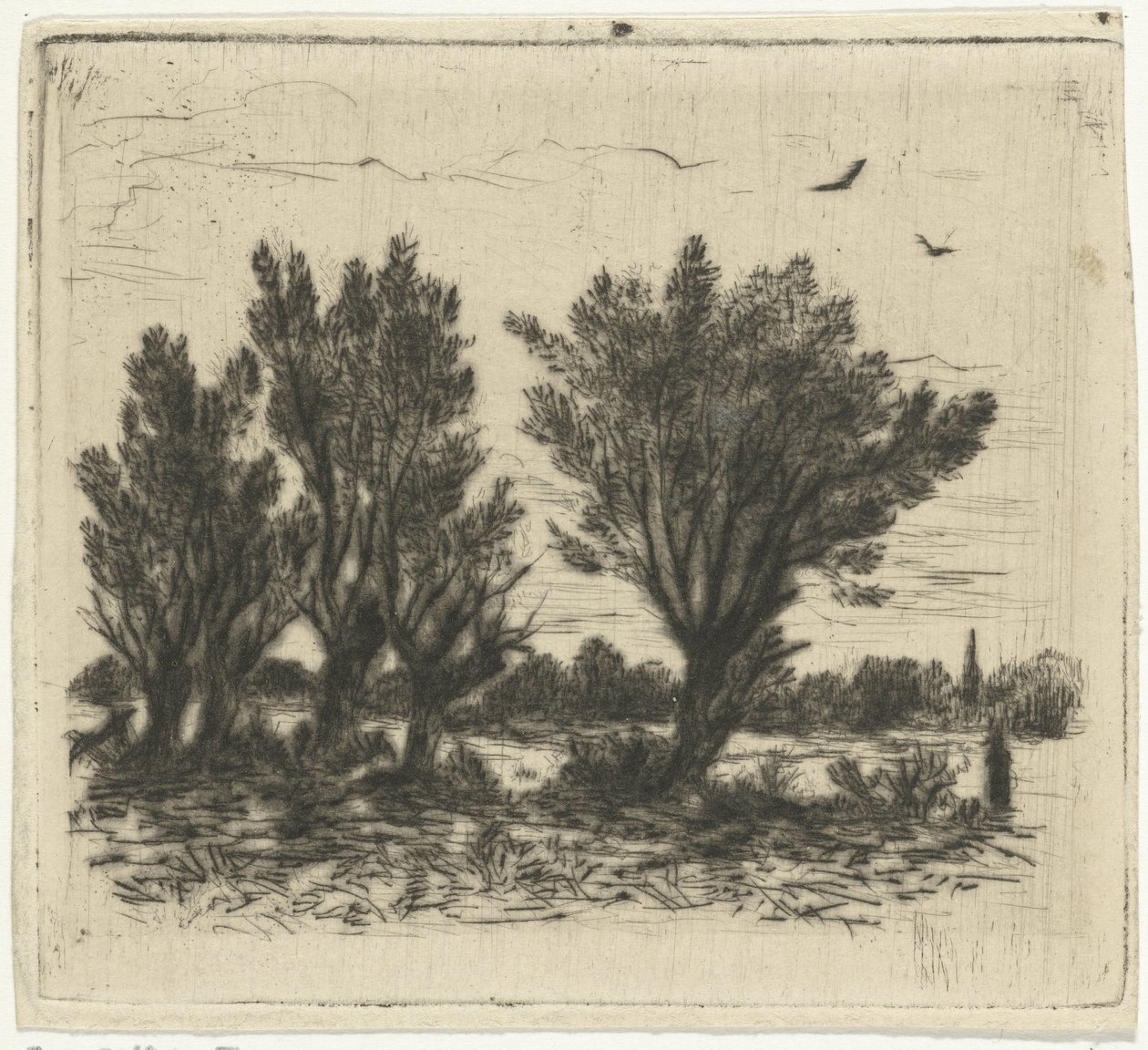 Fila de sauces de Johan Frederik Croockewit
