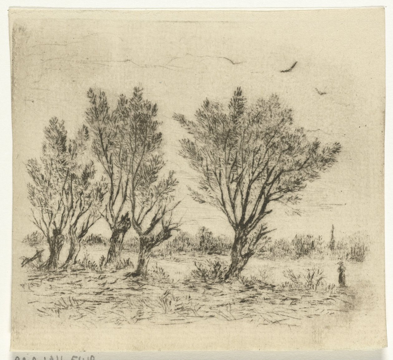Fila de sauces de Johan Frederik Croockewit
