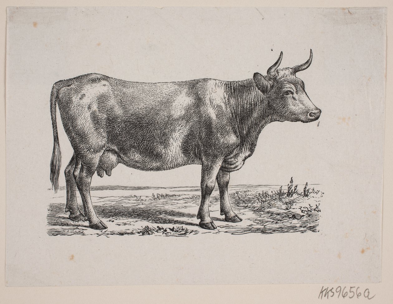 Una vaca de Johan Frederik Rosenstand