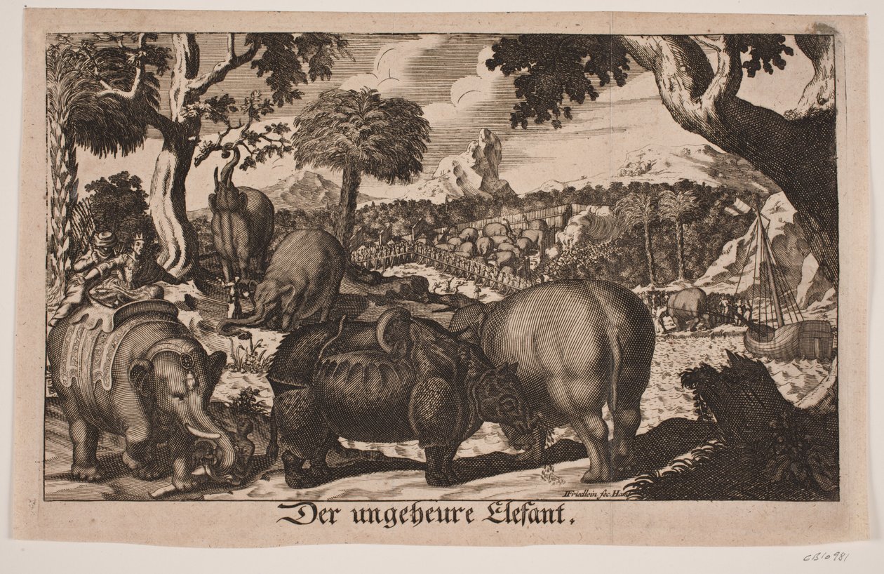 "Der ungeheure Elefant" de Johan Friedlein