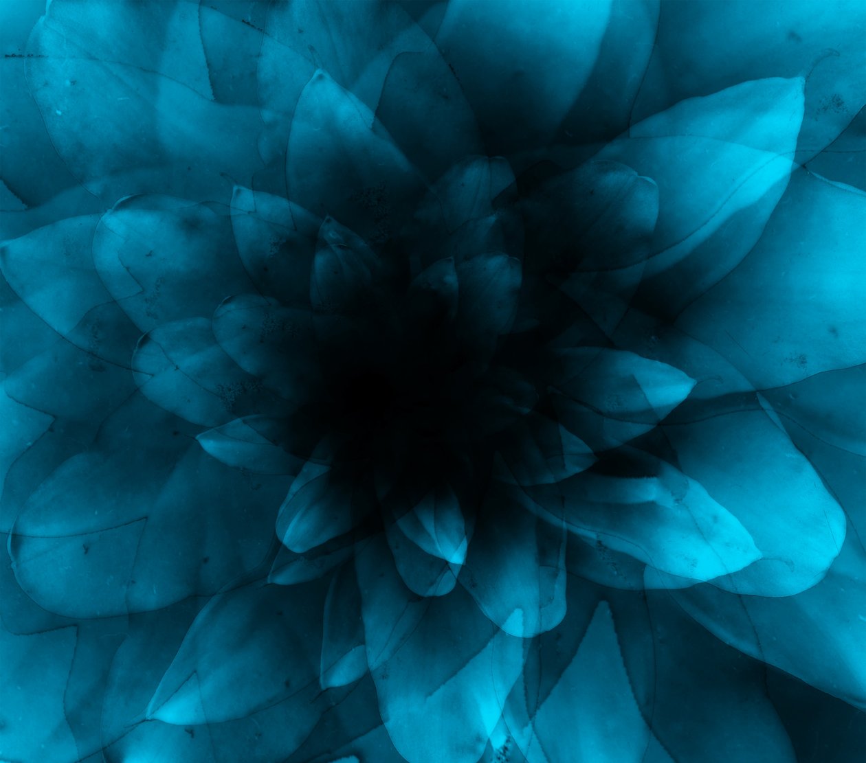 Flor azul, 2016 (impresión de arte digital) de Johan Lilja