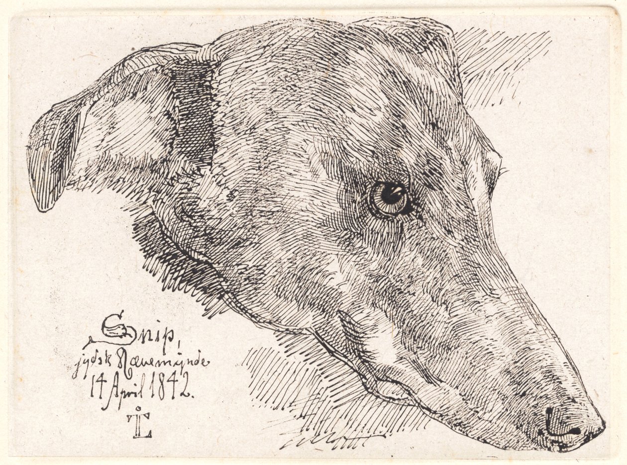 Danés: Hundehoved, Snip de Johan Lundbye
