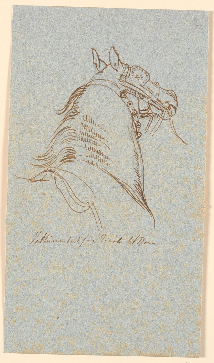 Cabeza y cuello de caballo Vetturinhest de Johan Thomas Lundbye