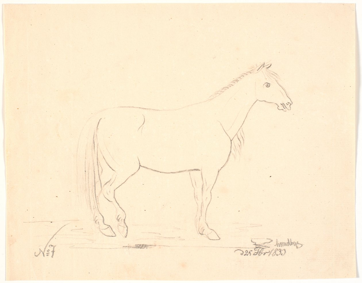 Caballo de pie en perfil derecho de Johan Thomas Lundbye
