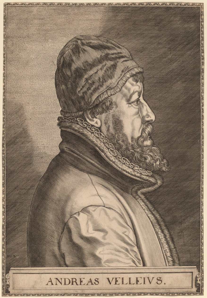Andreas Velleius (Anders Sorensen Vedel) de Johan Wierix