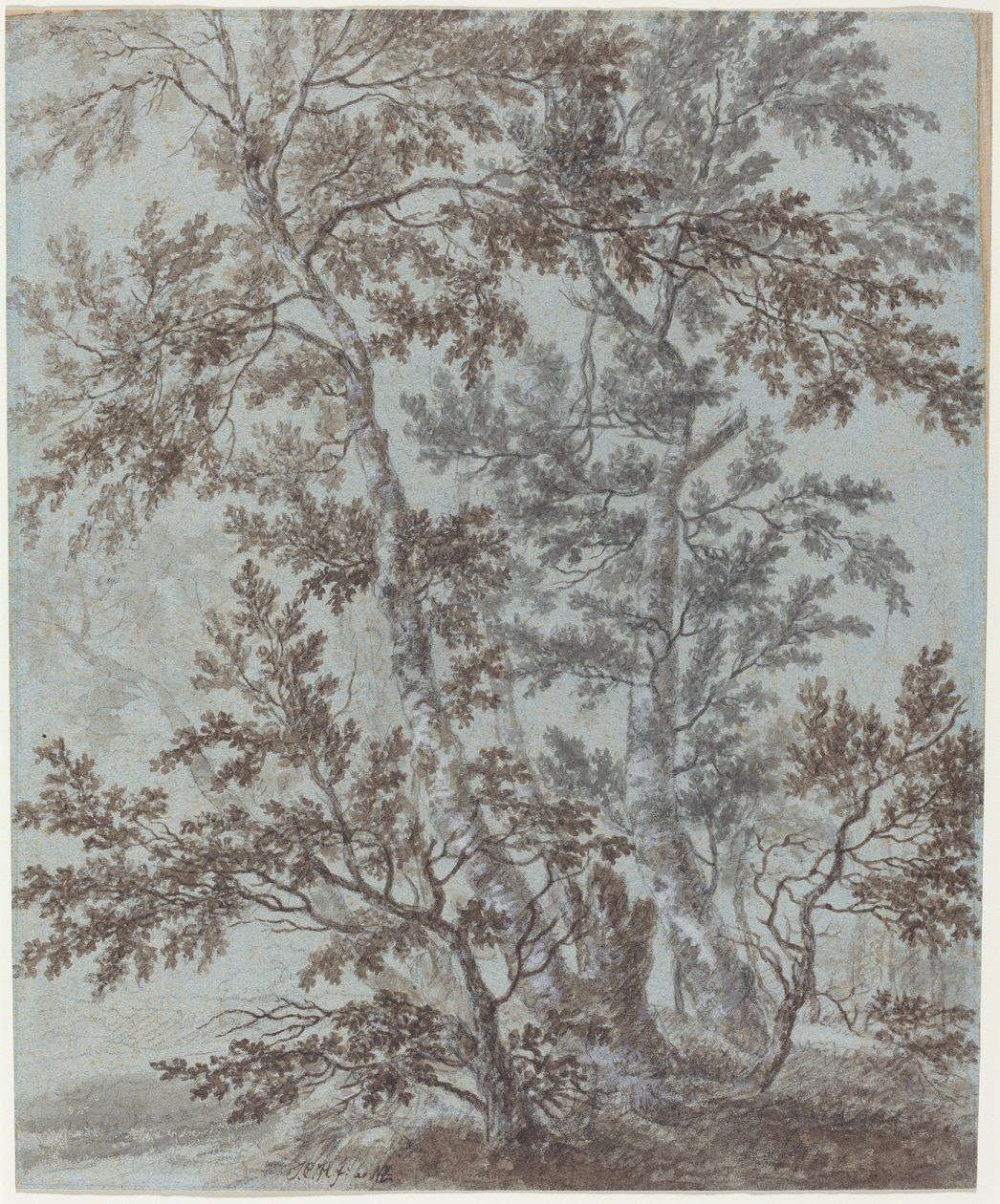 Un grupo de abedules de Johann Caspar Huber