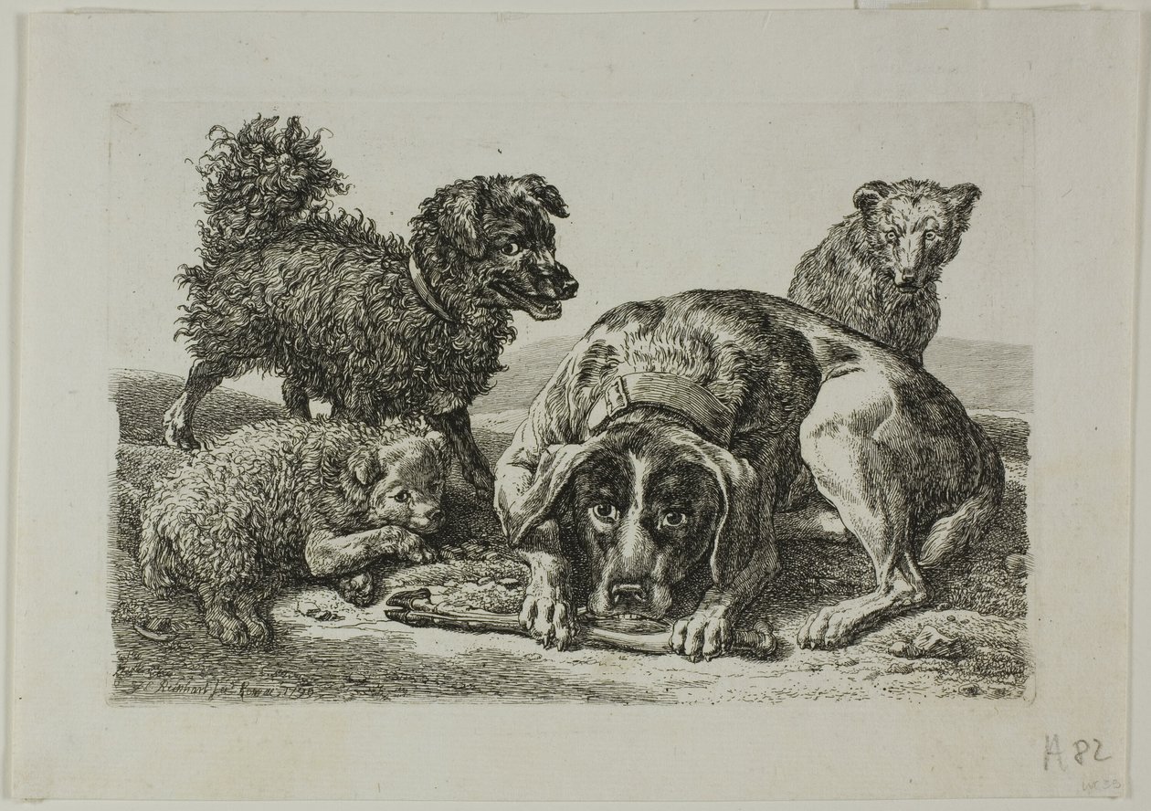 Cuatro perros, de Die Zweite Thierfolge de Johann Christian Reinhart