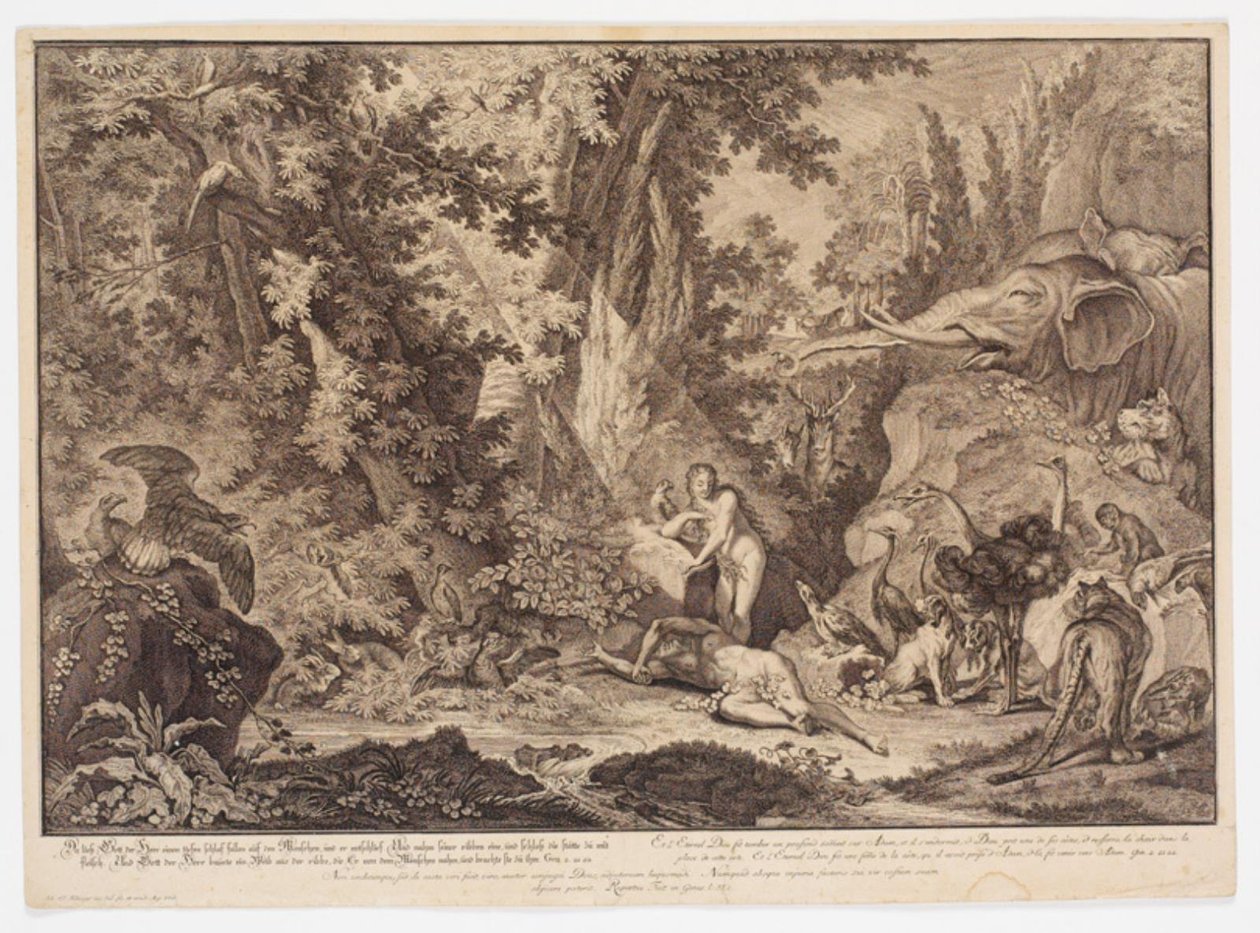 La creación de Eva de Johann Elias Ridinger