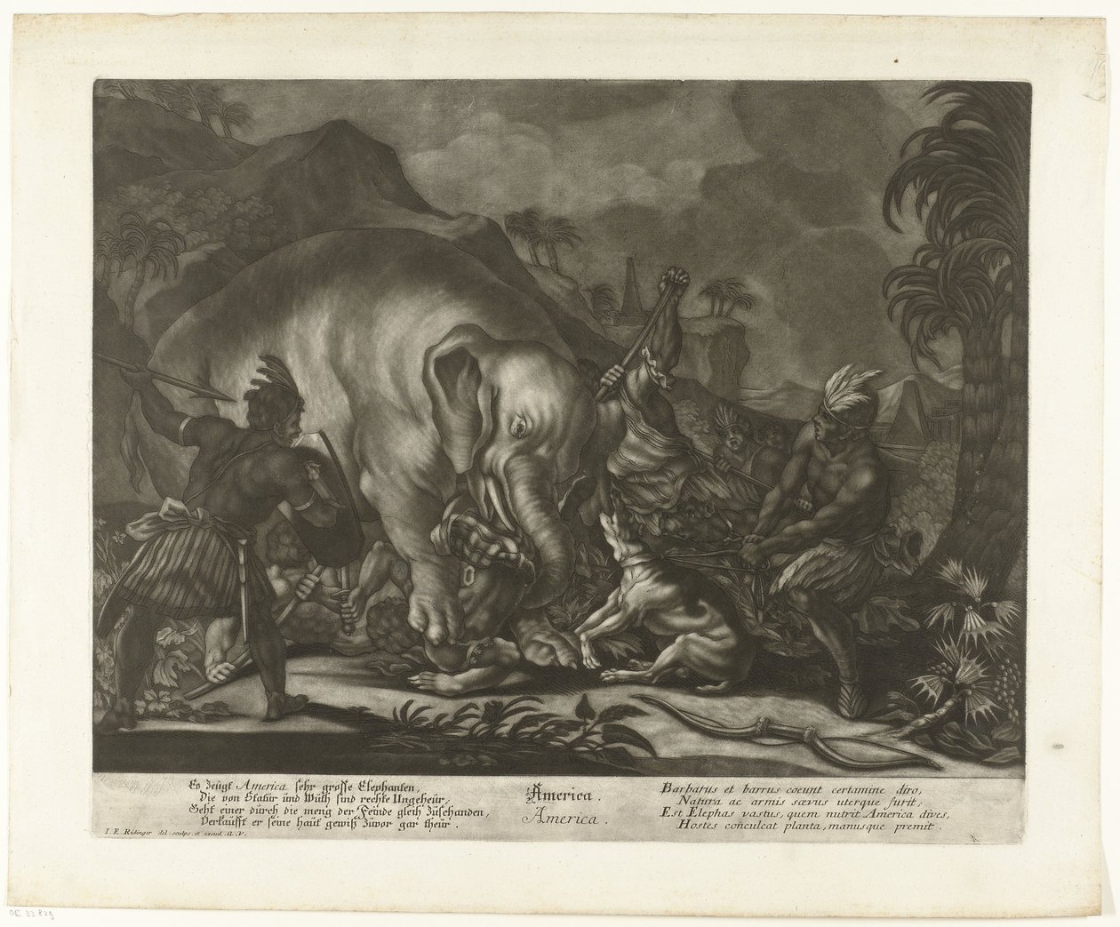 Caza de elefantes América (título sobre objeto) de Johann Elias Ridinger