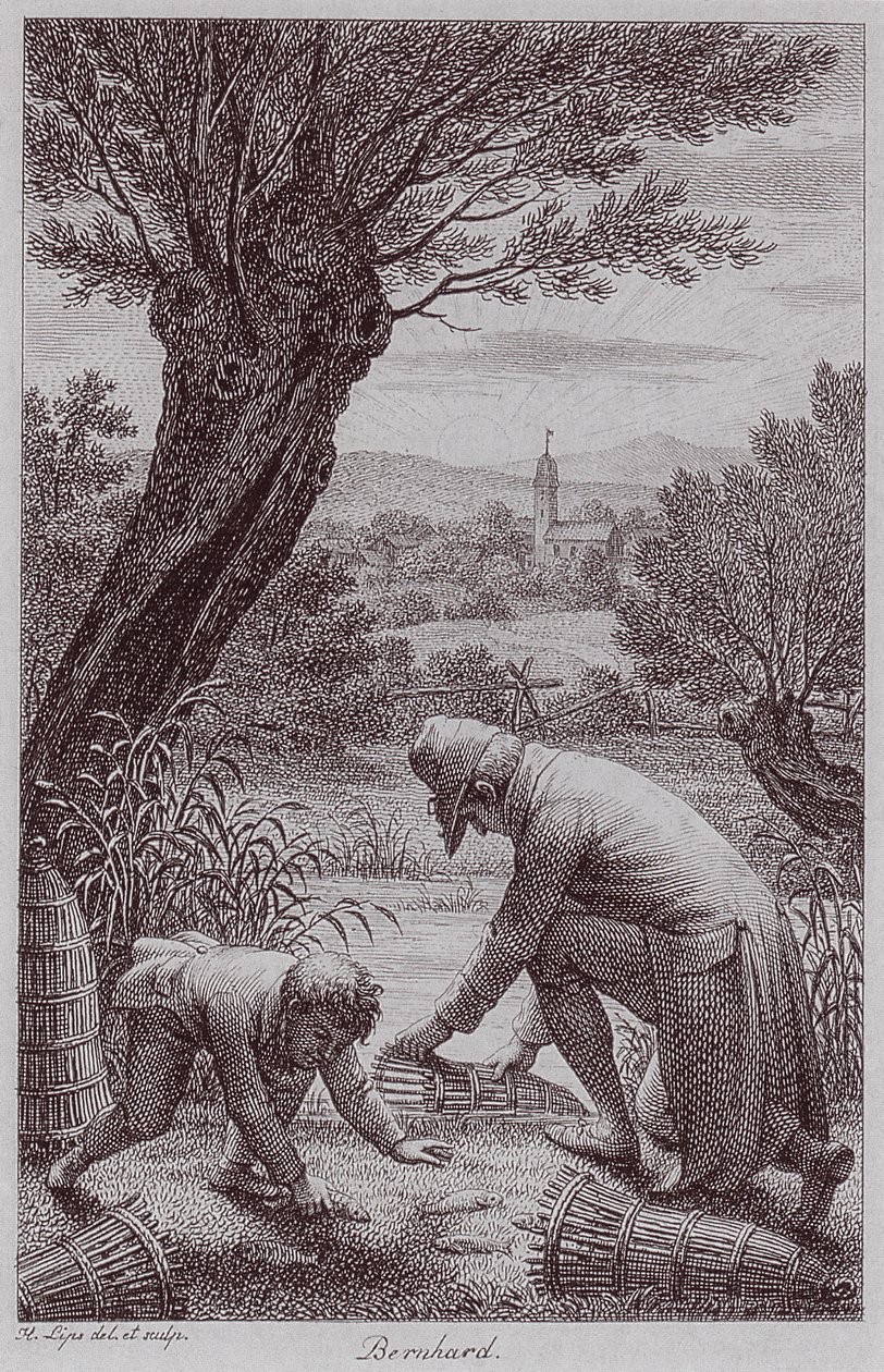 BernhardJHLipsi de Johann Heinrich Lips