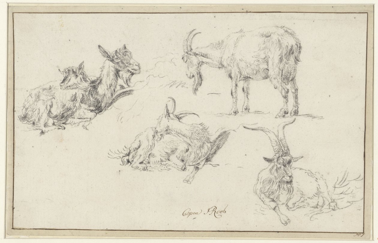 Estudios de un gamo de Johann Heinrich Roos (possibly)