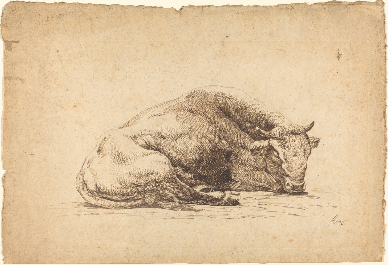 Un toro durmiendo de Johann Heinrich Roos