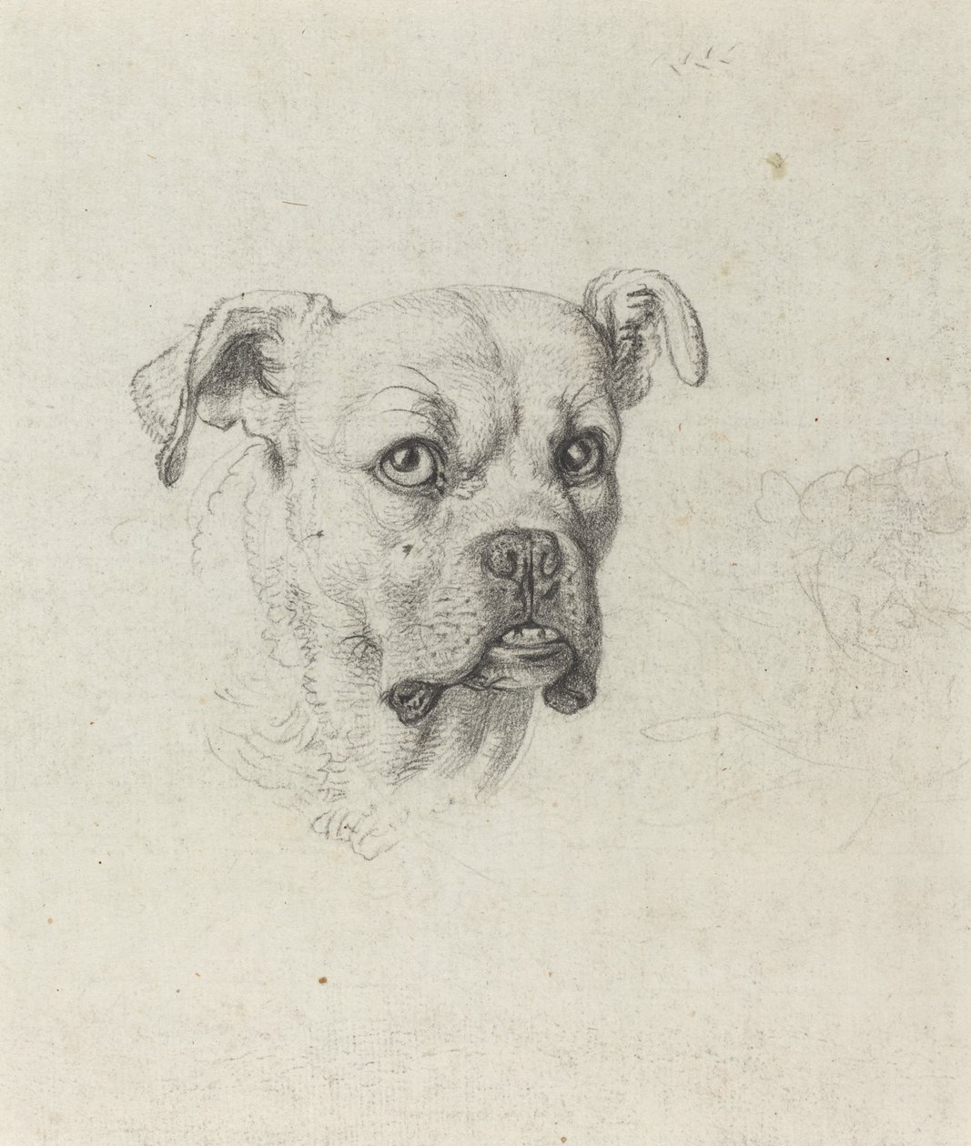 Un Boxeador de Johann Heinrich Wilhelm Tischbein