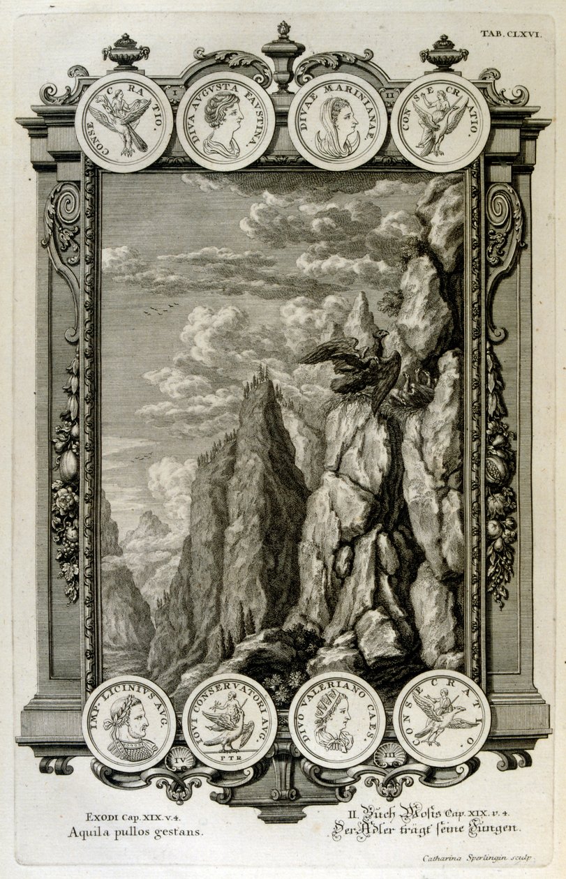 Zeus simbolizado como un águila de Johann Jakob Scheuchzer