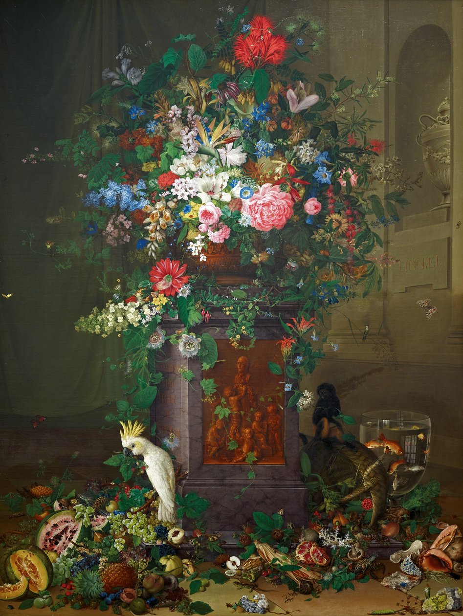 Homenaje a Jacquin ("Monumento de Jacquin") de Johann Knapp