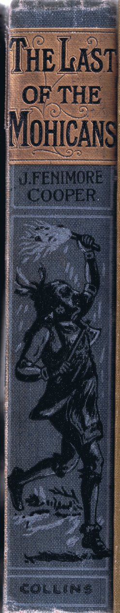 Diseño del lomo de Johann Nepomuk Schonberg