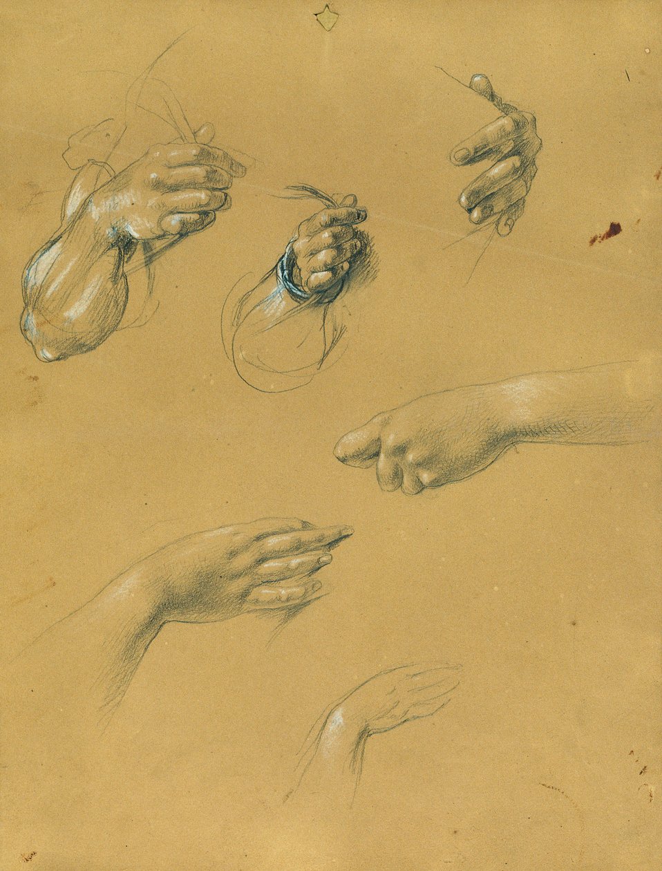el estudio manual de Johann Peter Krafft
