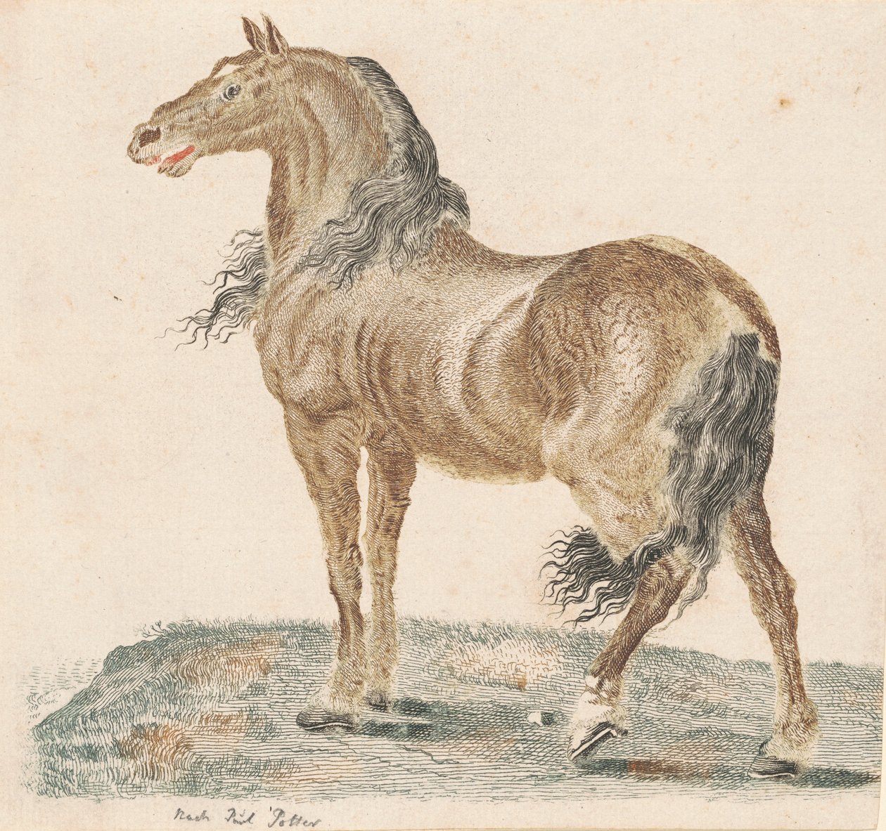 El caballo relinchando de Johann Teyler