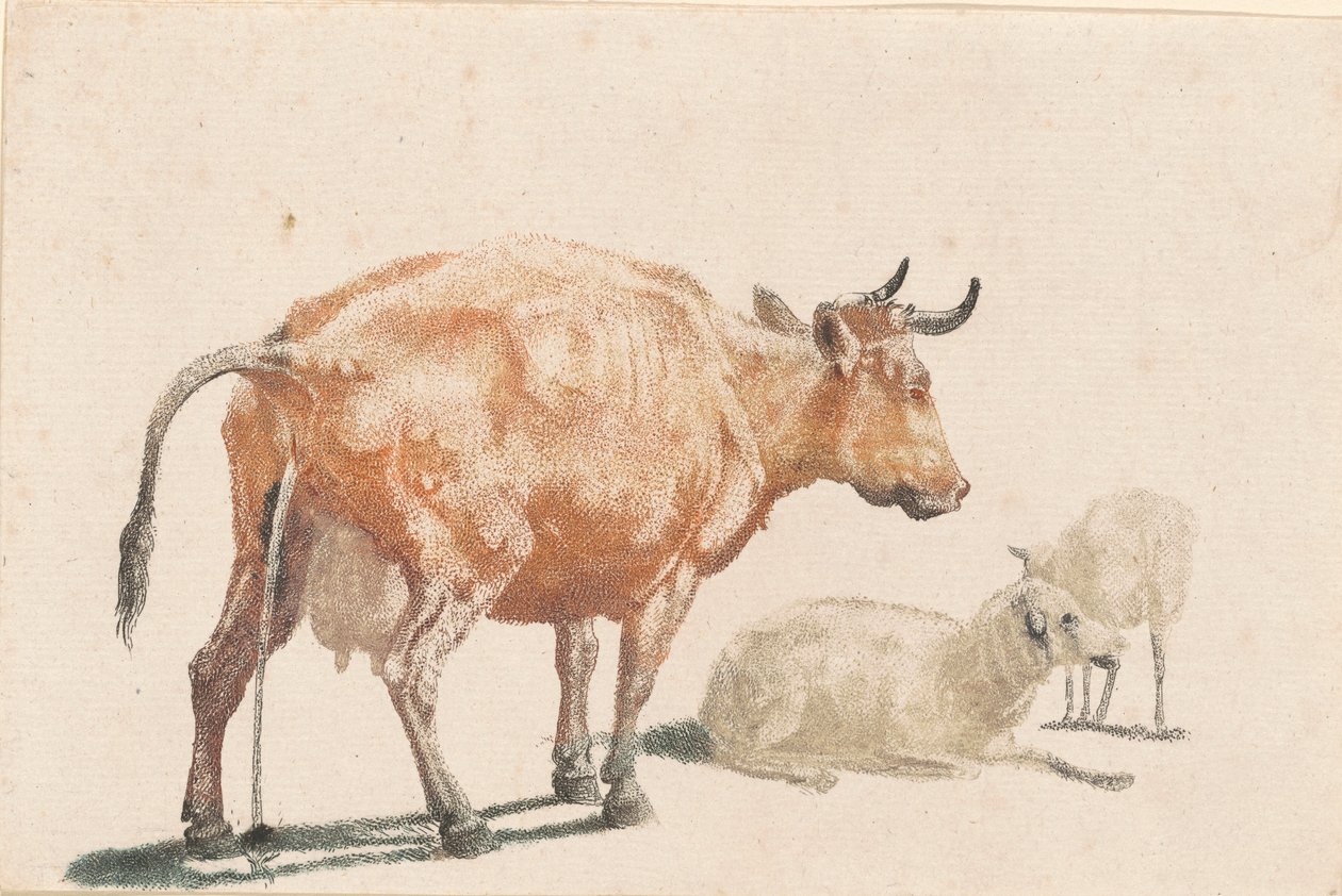 La vaca orinando de Johann Teyler, after Paulus Potter