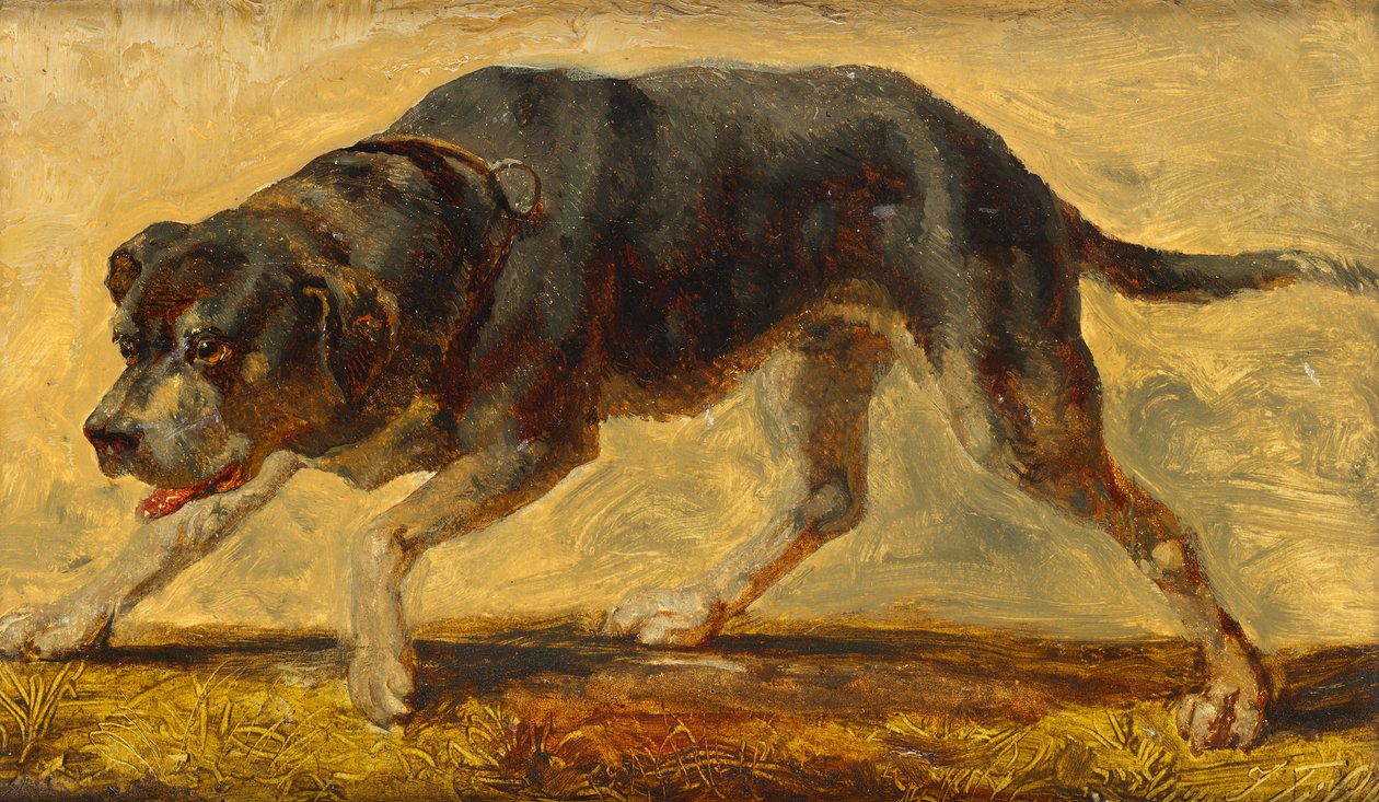 estudio de perros de Johann  Till der Jüngere