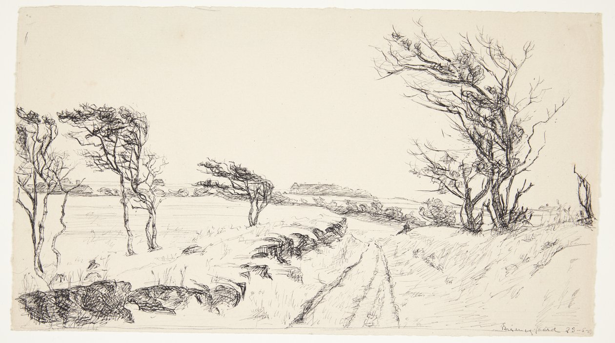 Paisaje Breininggaard de Johanne Krebs