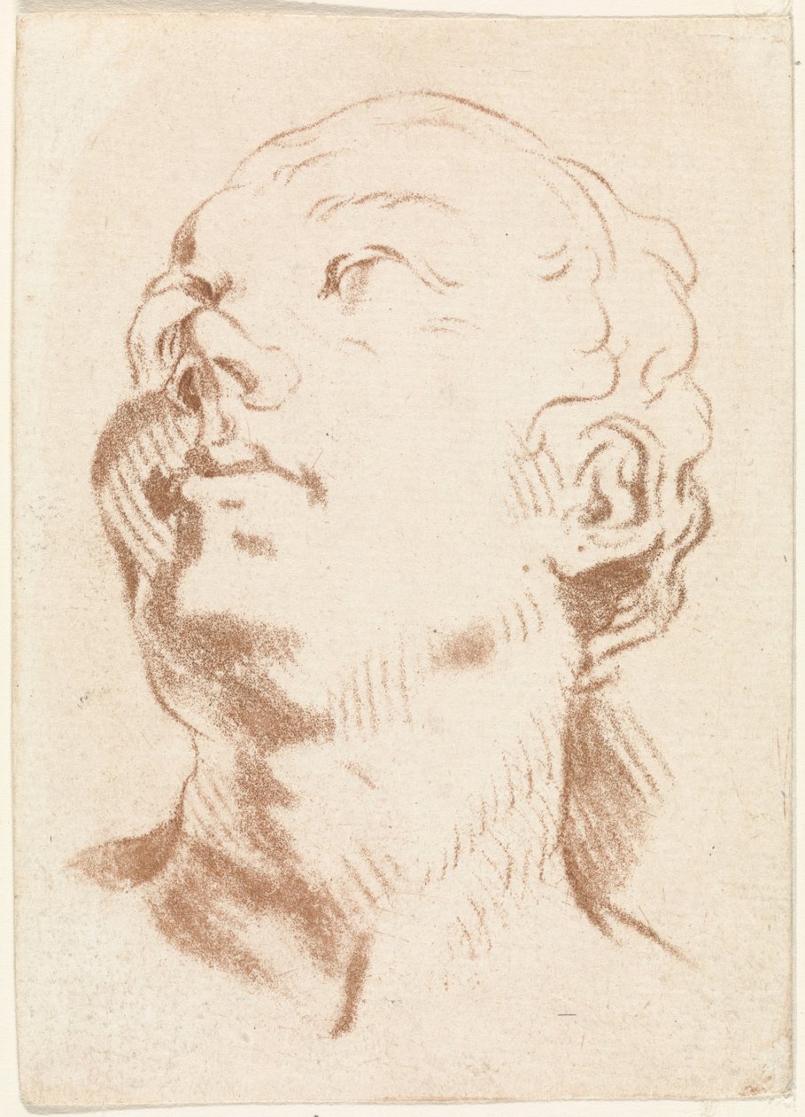 Cabeza de mujer de Johannes Janson (possibly)