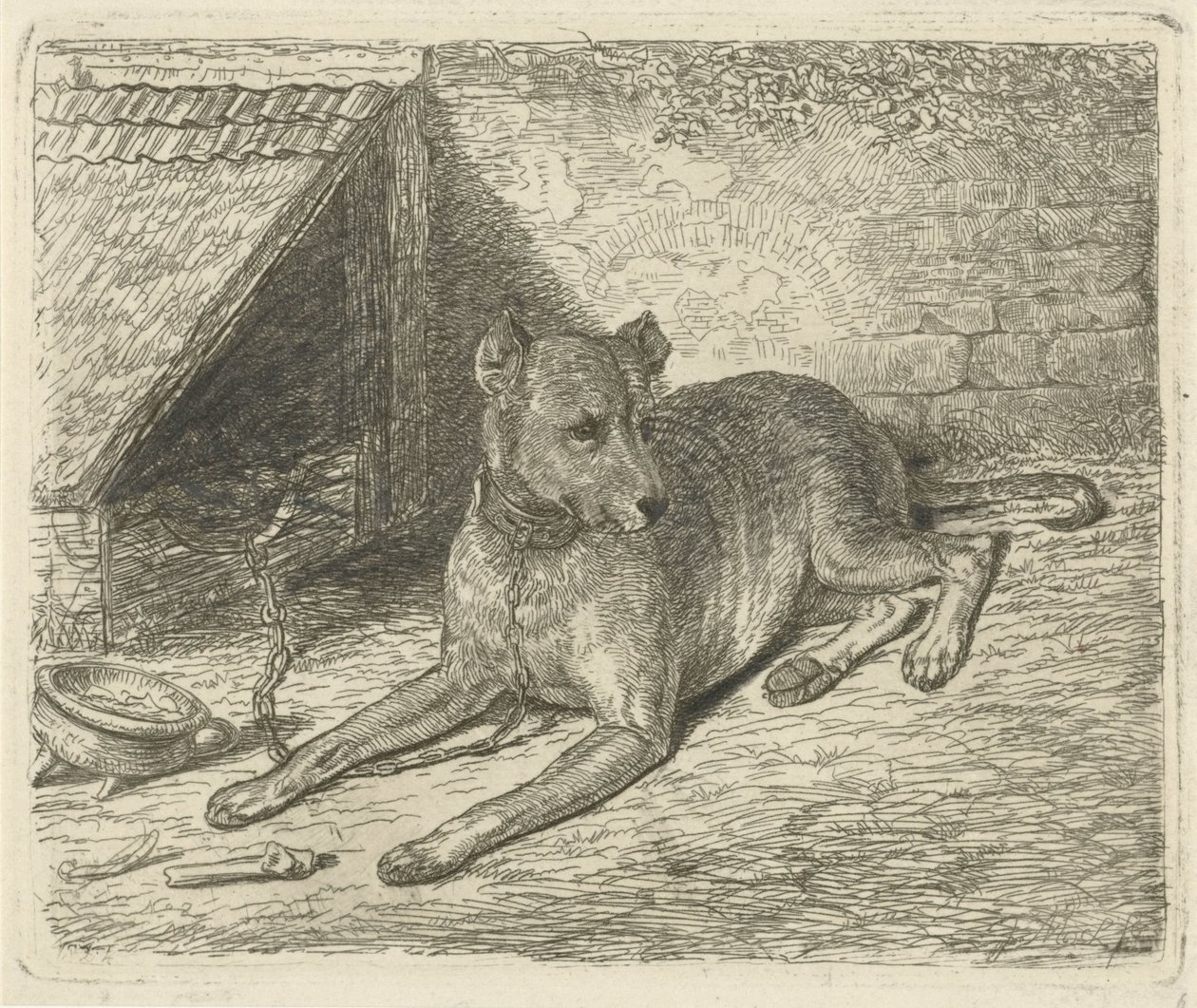 Perro en una cadena en una perrera de Johannes Mock