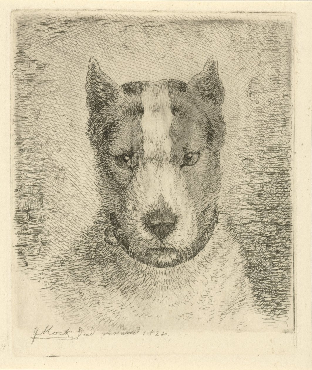cabeza de perro con collar de Johannes Mock