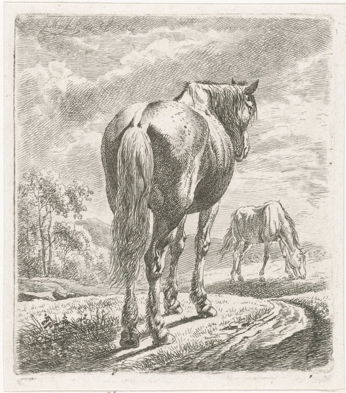 Caballo visto desde atrás de Johannes Mock