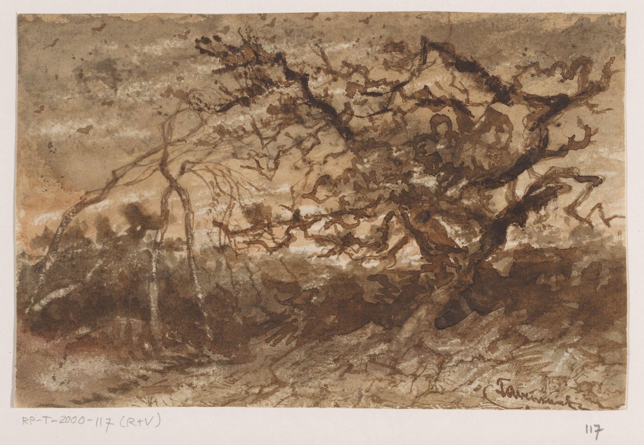Árbol al atardecer de Johannes Tavenraat (signed by artist)