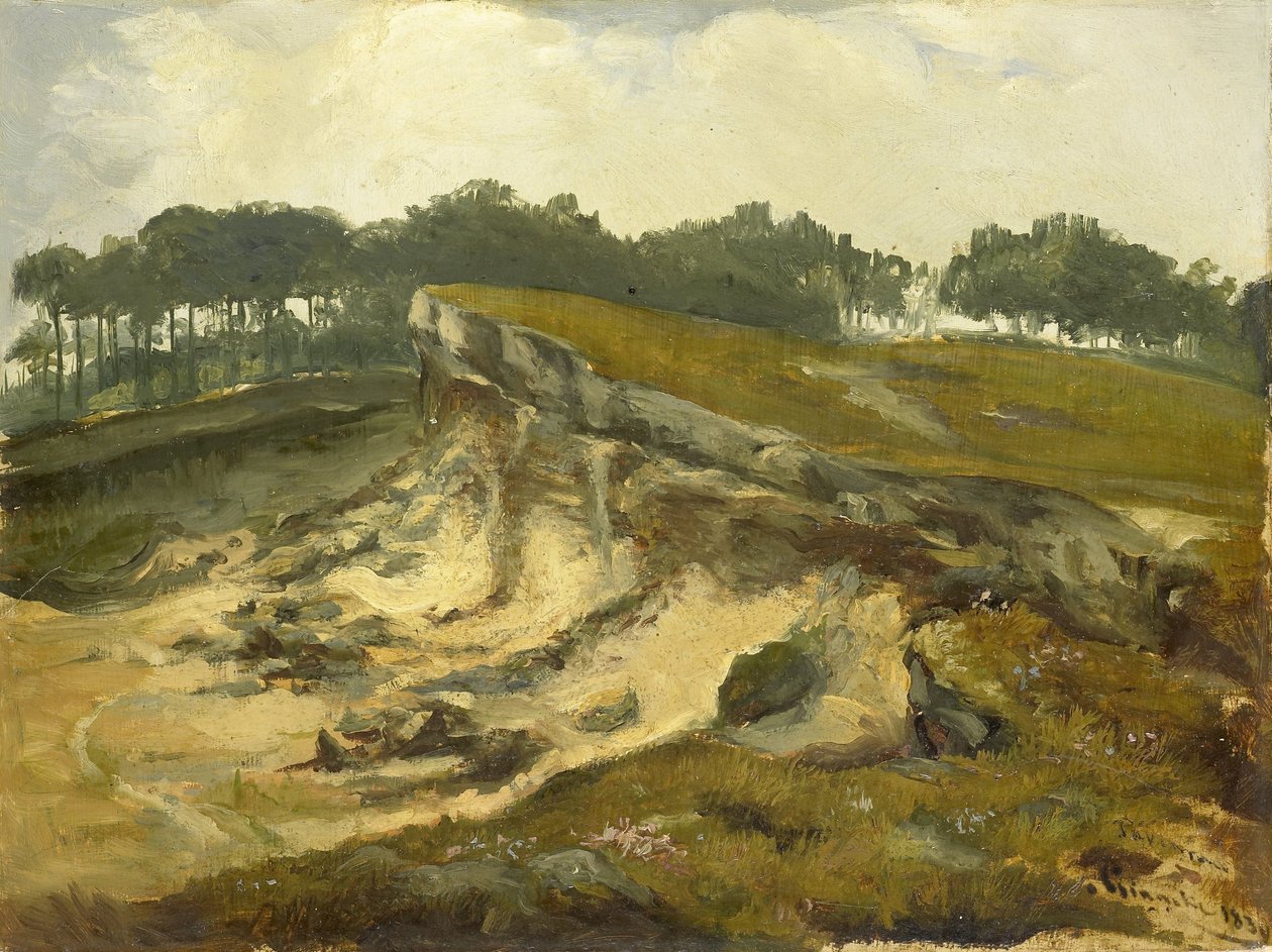 Excavación de arena de Johannes Tavenraat