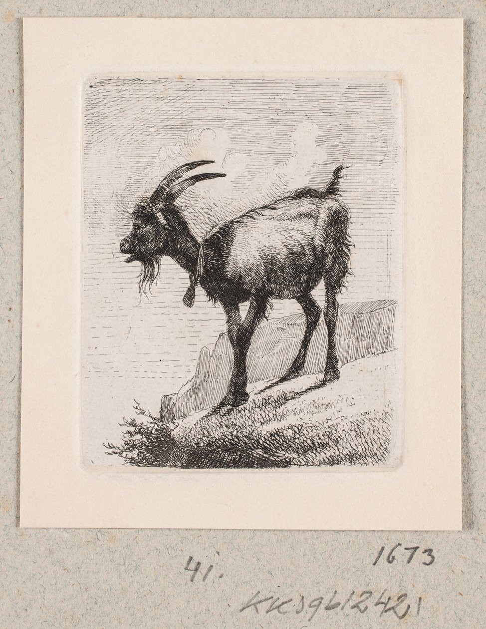Una cabra con campana de Johannes Wilhelm Zillen