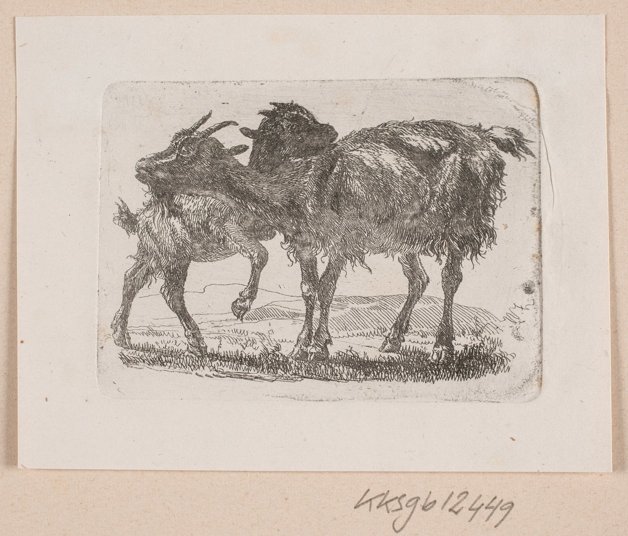 Una cabra con su cabrito de Johannes Wilhelm Zillen
