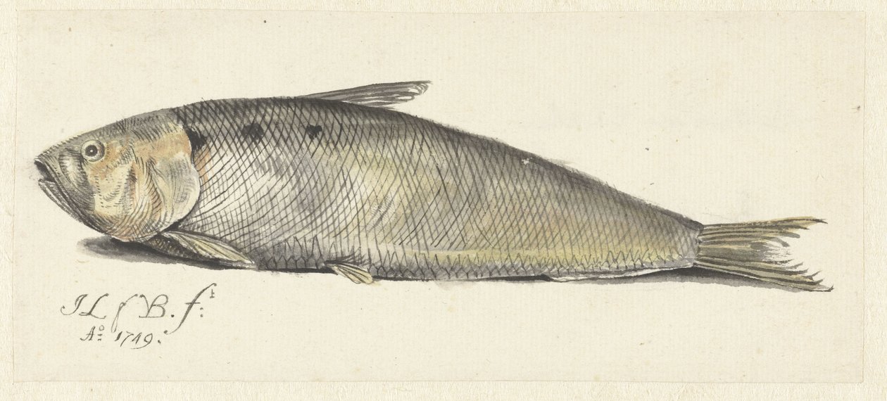 agradable de Johannes le Francq van Berkhey