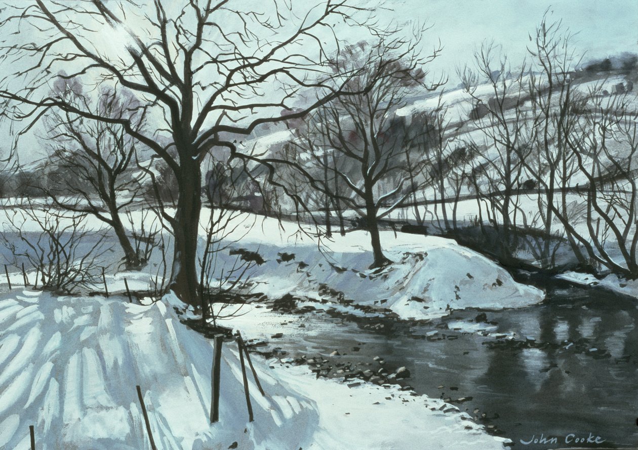 Río de invierno, 1996 de John Cooke